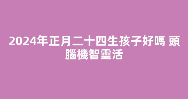 2024年正月二十四生孩子好嗎 頭腦機智靈活